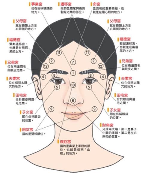 橫財面相|【面相學】4種易發橫財的面相，你有嗎？